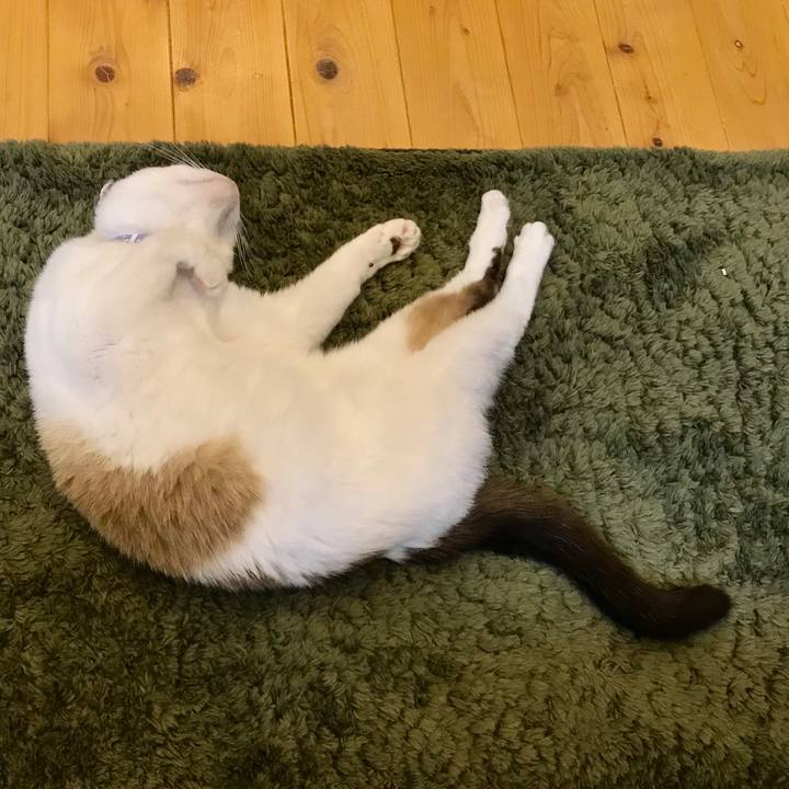 5a3000b2 9470 4789 98e1 942912c26591 1589239199798