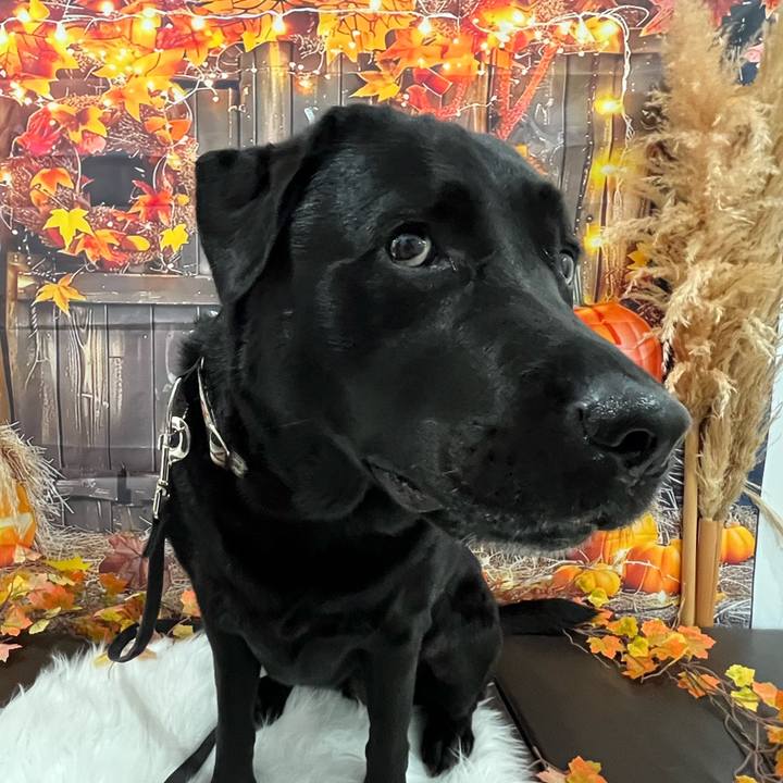 5a302300 7467 40bf b330 1eb982eeaac7 1760843768117