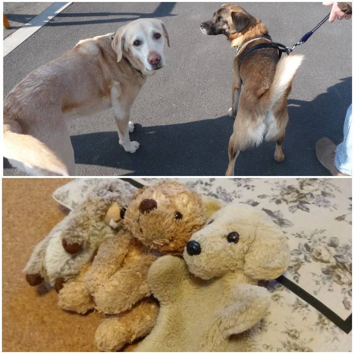 5a30313c fc04 4862 bf4c 9a732c7362da 1562324598246