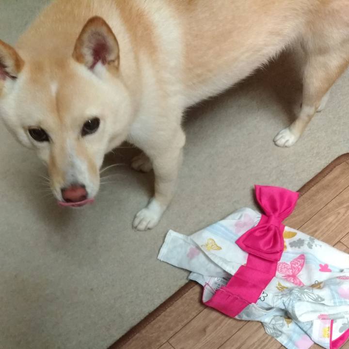 5a30330b 5895 4bfd 8ee3 50e8bef3862b 1535369011732