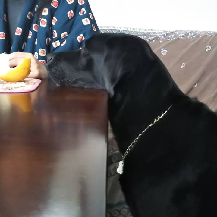 5a30408f c690 41e0 9883 b4491872c6e8 1691806680330