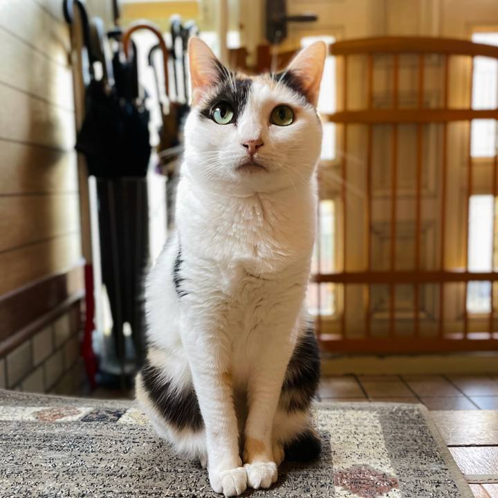 5a30537b d554 4bc0 bf38 cdb39f26bafe 1659835993102