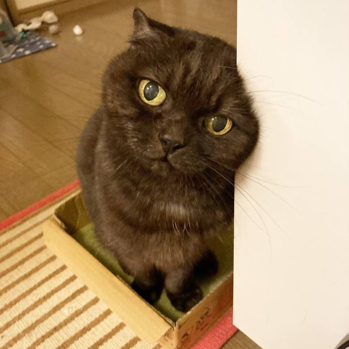 5a305823 06f3 46b8 9243 d82abef9af3f 1635176395943