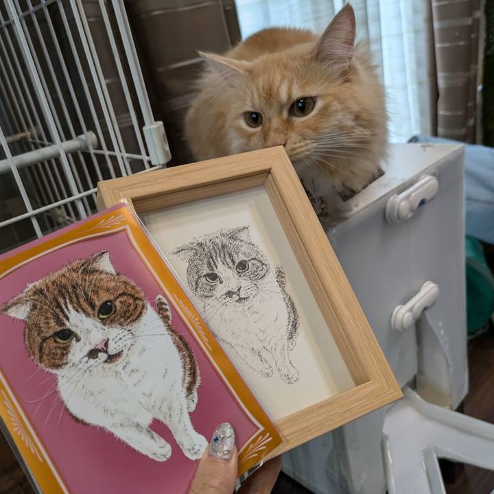 5a307f56 881d 48d1 9447 2589c9e91adc 1726302405470