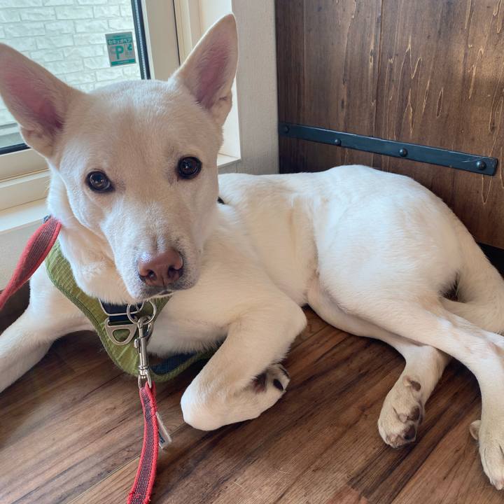 5a30957d 5f9b 405a 9376 1be37f6a4589 1769475150041