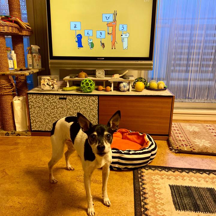 5a30ab36 cf13 4010 ab71 23d13b348ad5 1580422403989