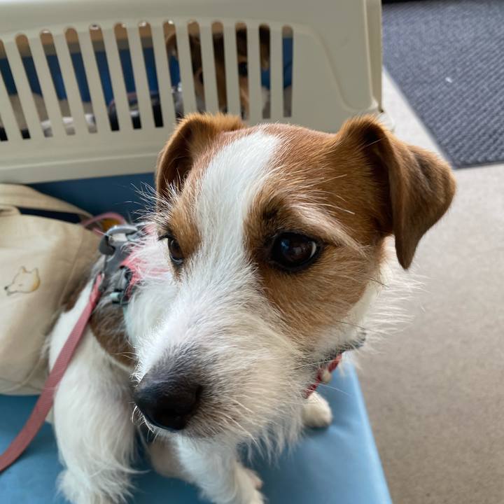 5a30e761 2012 4a13 bfc8 c3301b088f66 1744430917855