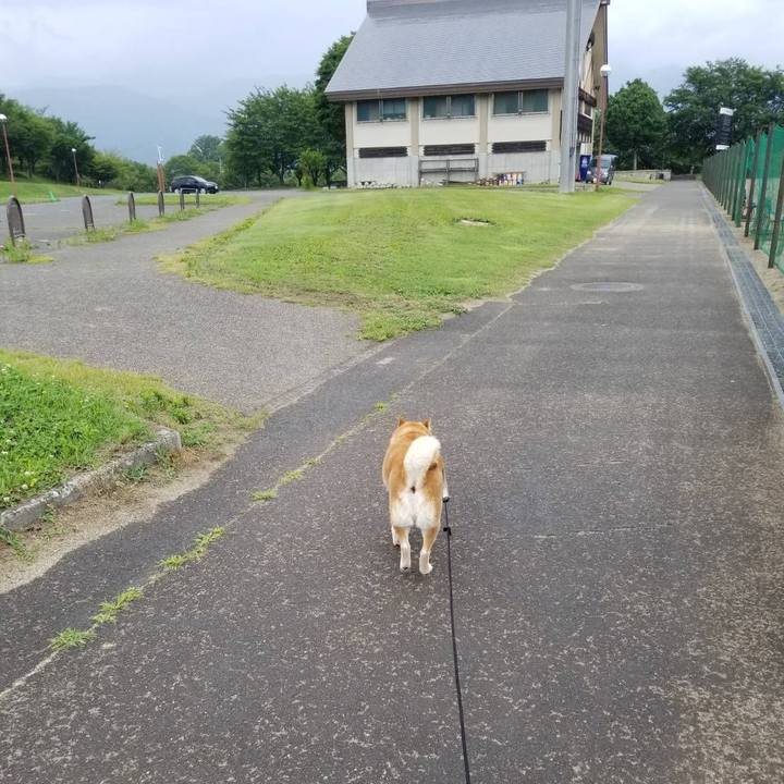 5a3116fb 23f9 4b2e b7a1 fe9dd81a6398 1624518326674