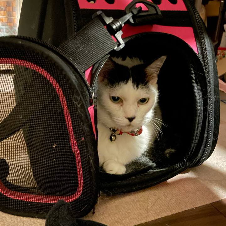 5a313f72 bafc 4f1b 8539 167bf02fbc86 1727617279458