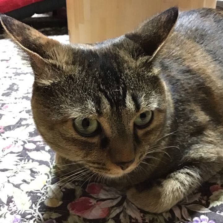 5a314327 96c0 4885 87e2 414b2c7a3d36 1719919969612