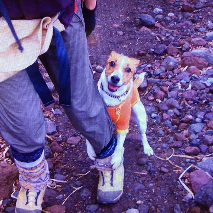 5a3143ec 321e 49f3 8517 cbb17ffbf689 1508200488049