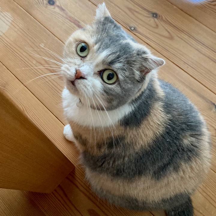 5a315575 ecf5 4967 8ddc 92d1efb7b03f 1629856006173