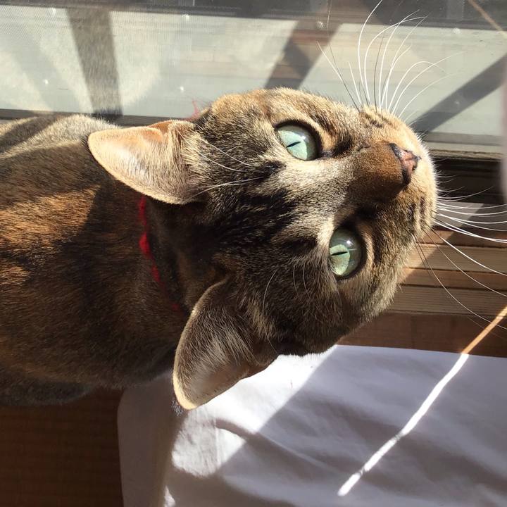 5a316b12 bae2 4a5f a4c8 f201d82c293d 1613701696163