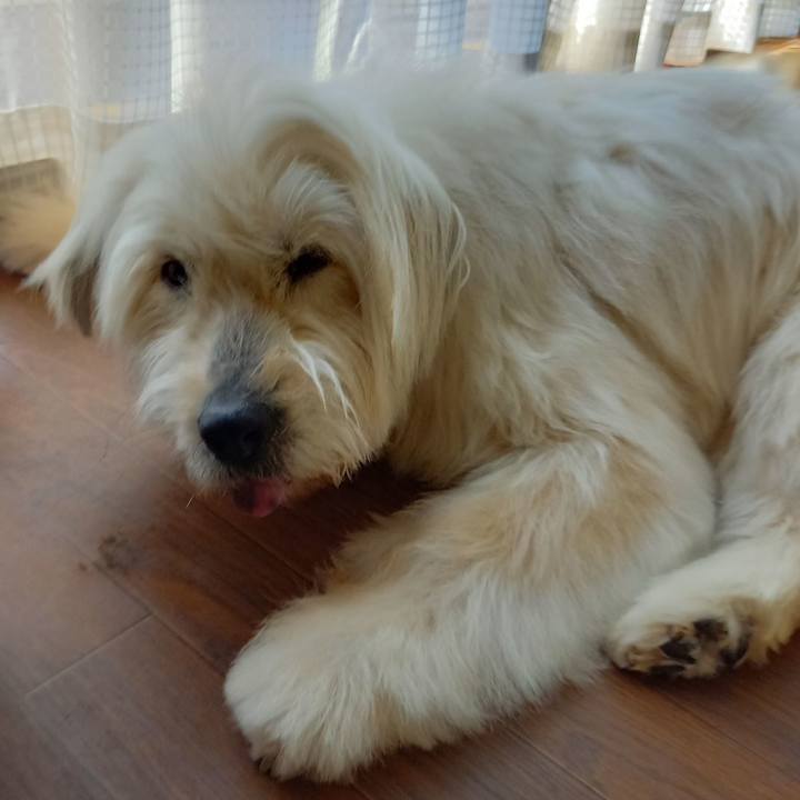 5a318a04 1872 4f97 8255 a99a47311edc 1620687148247