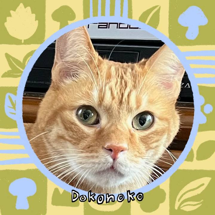 5a3194e9 22e8 4d17 8888 1218ec9f6a42 1763882753496