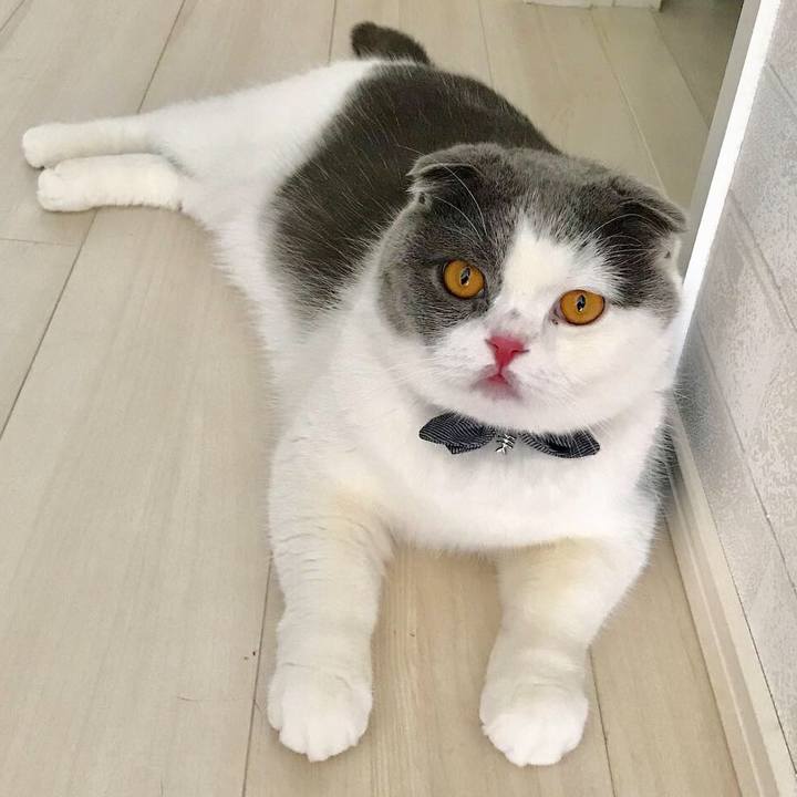 5a31eddb 0990 41d0 8987 d36d215a55bb 1538890865808