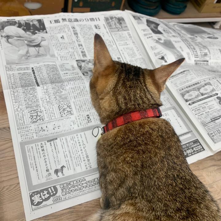 5a31f142 c027 48cf bac5 4da1b4069b2d 1675989897672