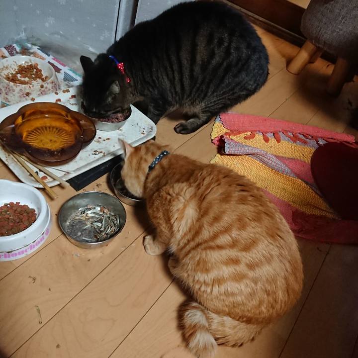 5a325b35 fa2b 4f9e 974b dd81c79a07ef 1640682315635