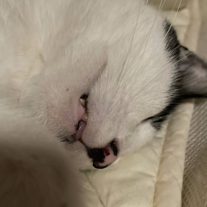 5a326e78 34ab 403e 9005 191aa61f737d 1630176124225