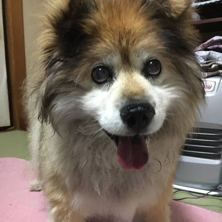 5a3292c3 b61b 44a7 a1e9 4b1365087571 1608343054858