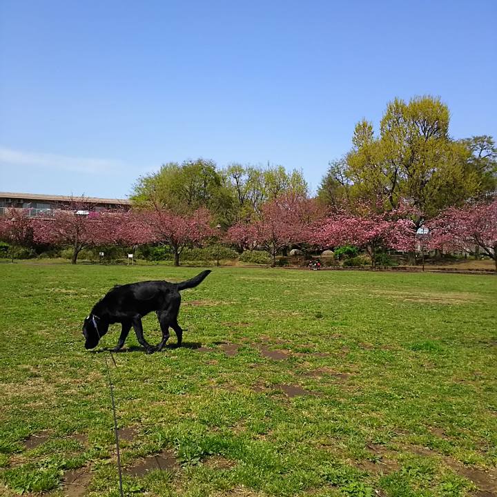 5a329aad bc19 4af5 b8f2 9709eaffac7f 1691808881134