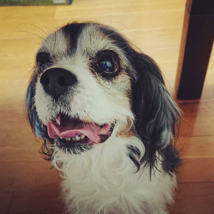 5a32d309 3433 48d7 ab7c 4798aee10d24 1547440330225