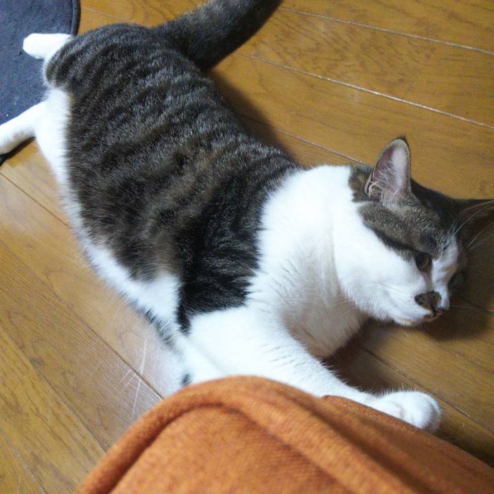 5a32e34c 12ba 433a 85e8 079856d4be27 1658013826035