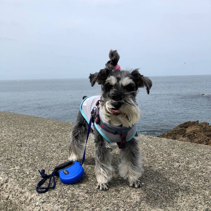 5a32f053 4408 4dc3 8630 be1567ab6a63 1684761415445