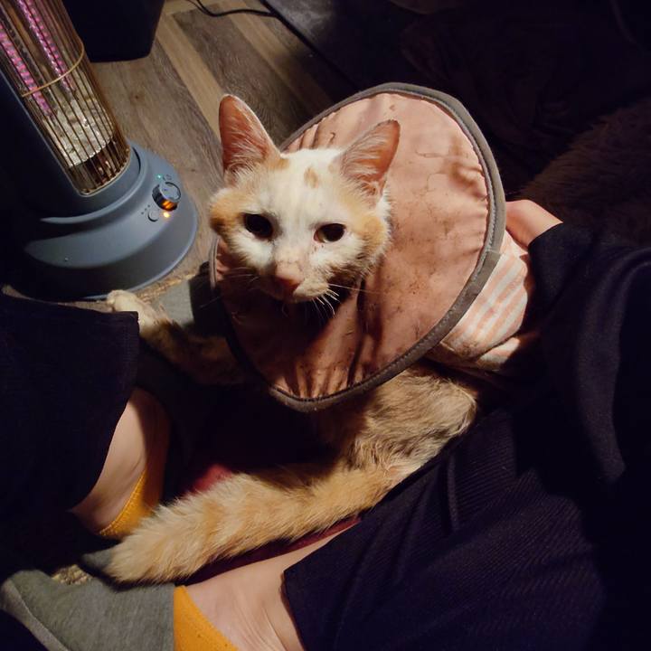 5a32fef1 bbbf 4b0f a337 81a0cbdfd932 1761388986485