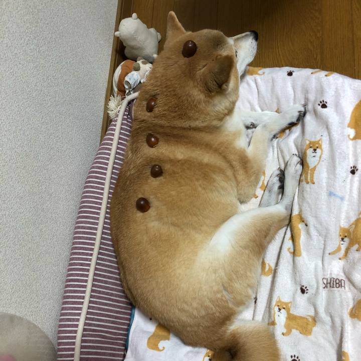 5a330217 465f 4b72 be9c e1b67f2eb246 1603924902061