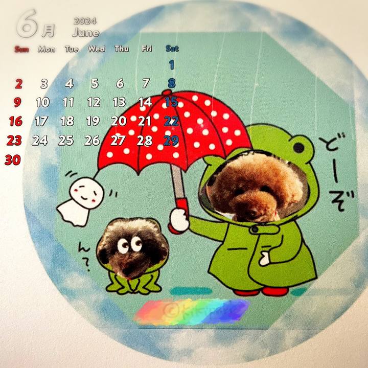 5a335096 0c87 490b a9ff 06b07b68ff6f 1717197668760