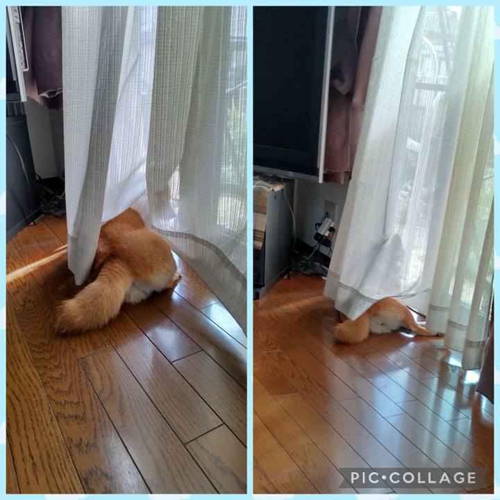 5a3360fb ff3f 4d61 85c3 fd49d97760bc 1758937375990