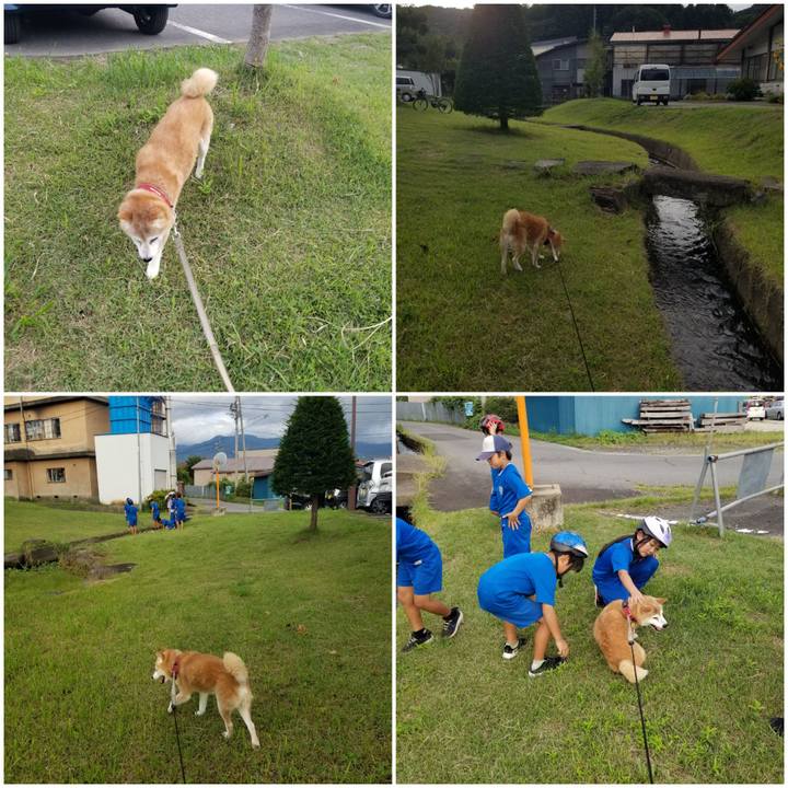 5a3366e0 787c 447b ac60 dee3e7998f16 1757578479786