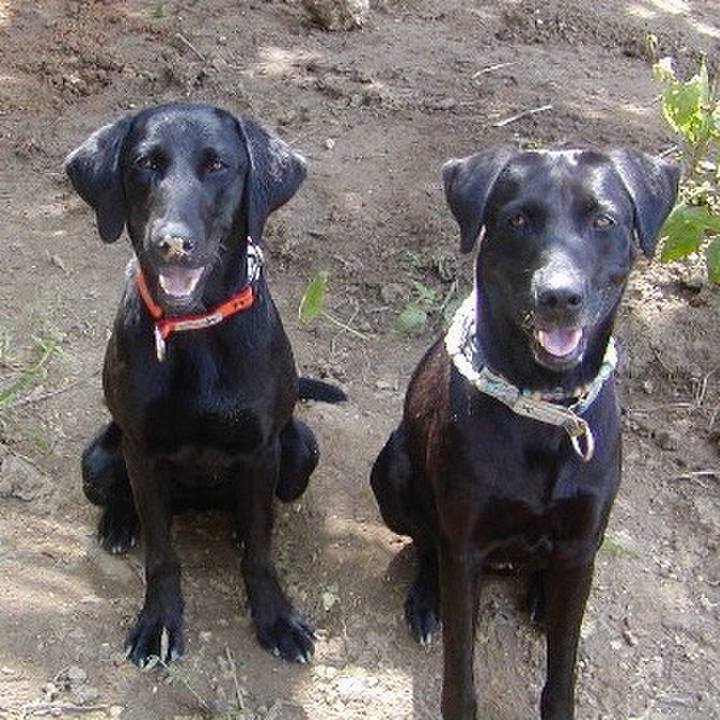 5a33678c d6eb 49f1 aaf0 fedce2402c23 1522675712690