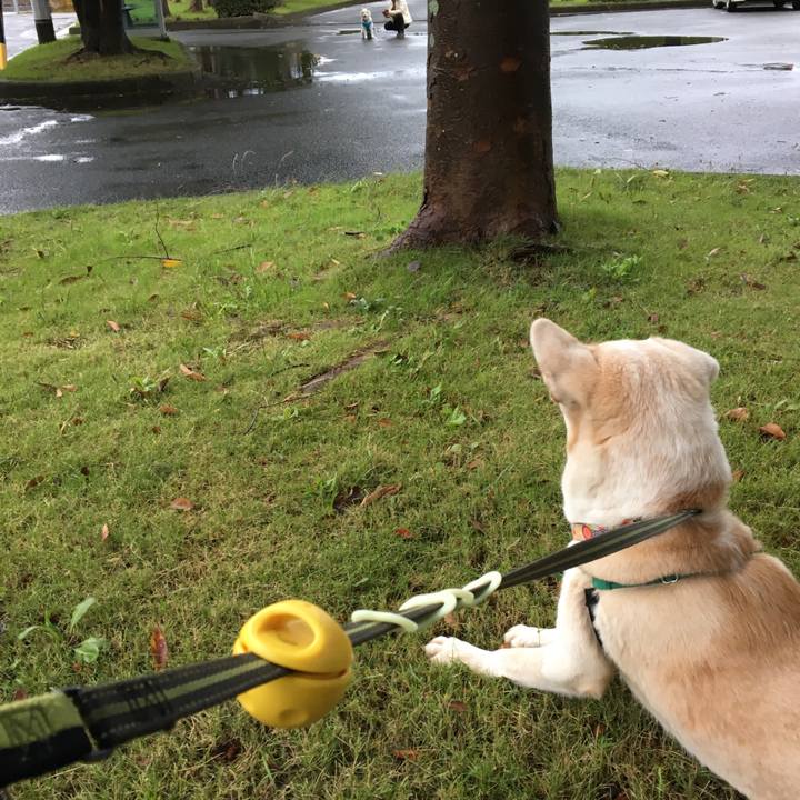 5a336d80 5ca1 4353 b282 164a7c6d5fd5 1508659001680