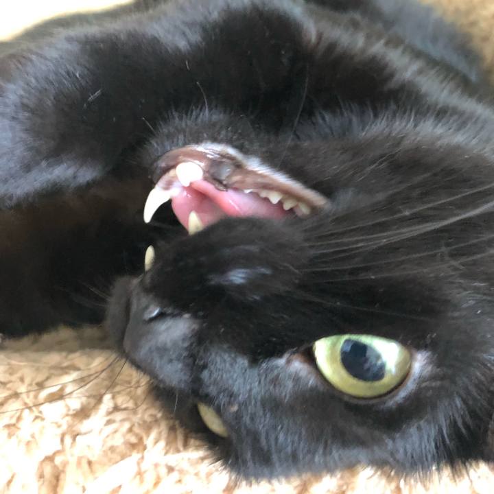 5a336ee7 19fe 418c 903f 96576032fa4a 1566035936096