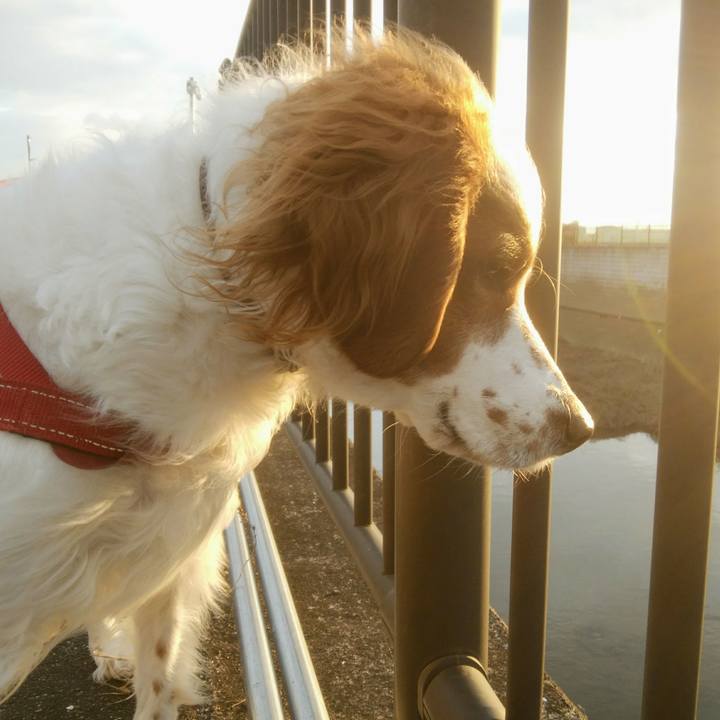 5a337286 7216 4c66 92aa 8baeff5c0be5 1547713194436