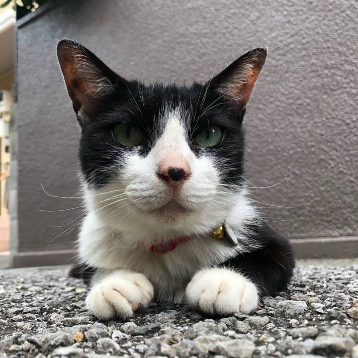 5a338a04 7e5a 45a2 90f5 636ecbfba2ba 1626244610536