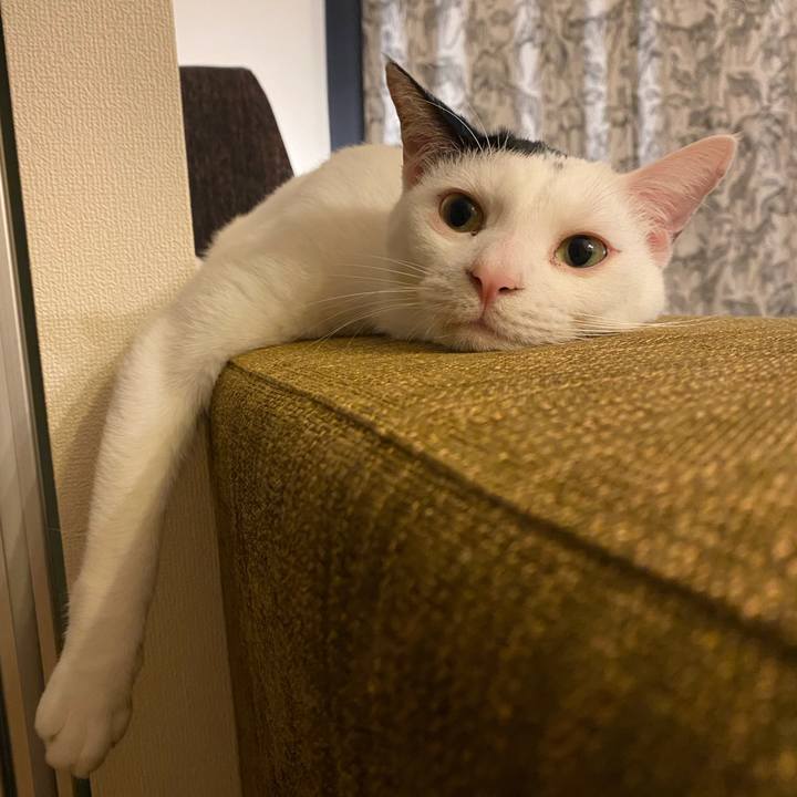 5a33abb9 6a1e 42ec 97a7 6f9a6bc310e8 1696294428446