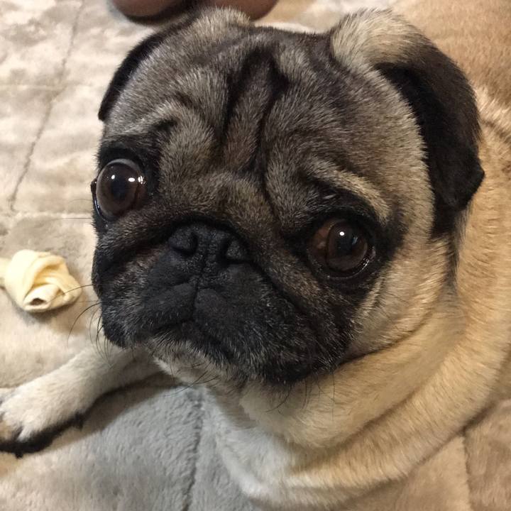 5a33acfc c070 485b 879b cb2248adbc24 1555331703951