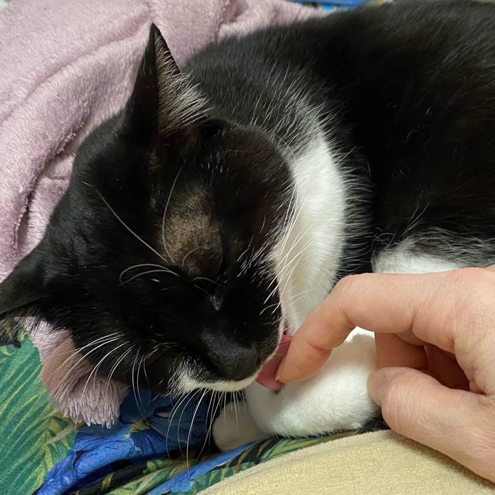 5a33b404 2177 4938 af7c f12c5d23d72f 1609908182167