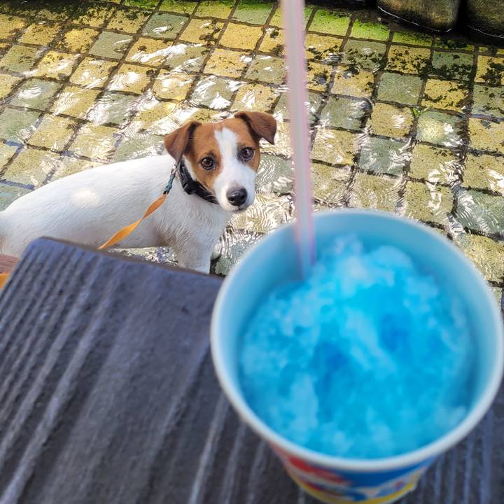 5a33da31 c130 472a a0bc 60203956676e 1689041337955