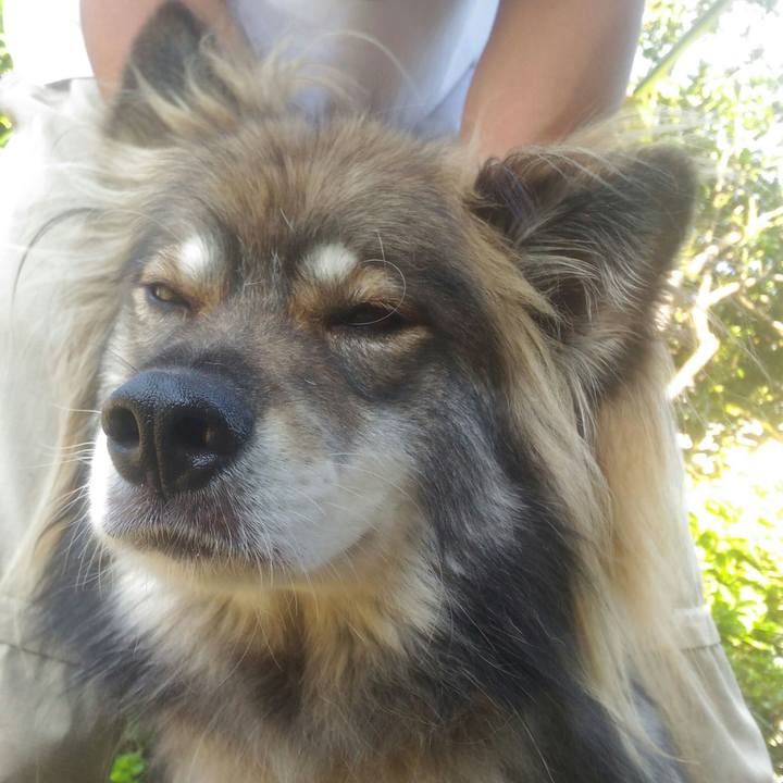 5a33fa29 ab18 437e aef6 b96aa4ad2537 1567755609892