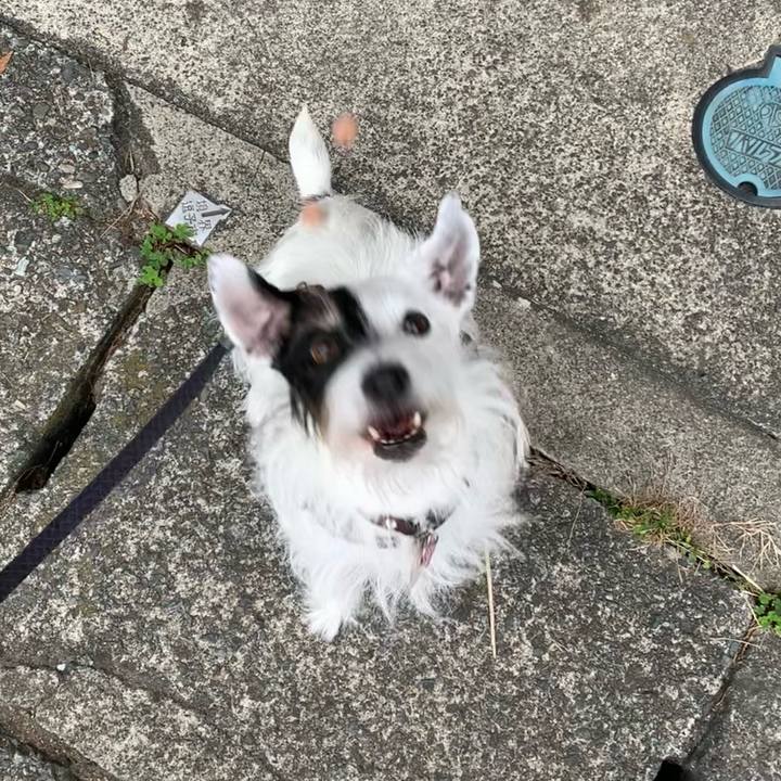 5a33fe79 a2fe 49b0 9ce1 1f599afa11a2 1699572844418