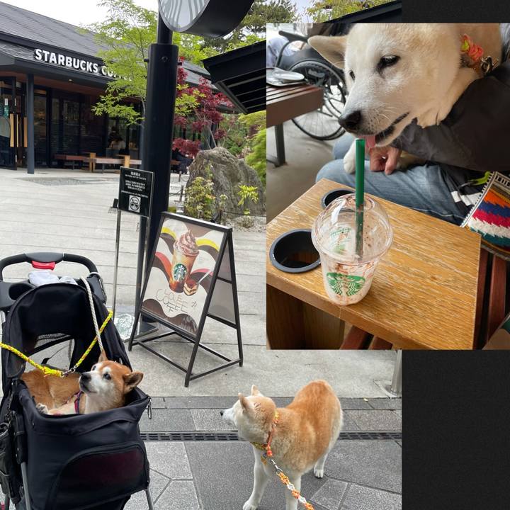 5a341b94 83f6 4ffa bba2 26aa8ac337fe 1618734545256