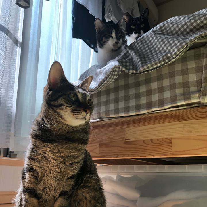 5a34465b 2ef4 40e5 a369 bed8313973f7 1552161591767