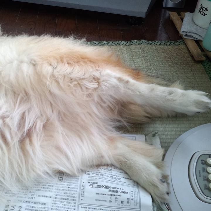 5a344834 e065 46ef 85b0 293b515dc89d 1554551842463