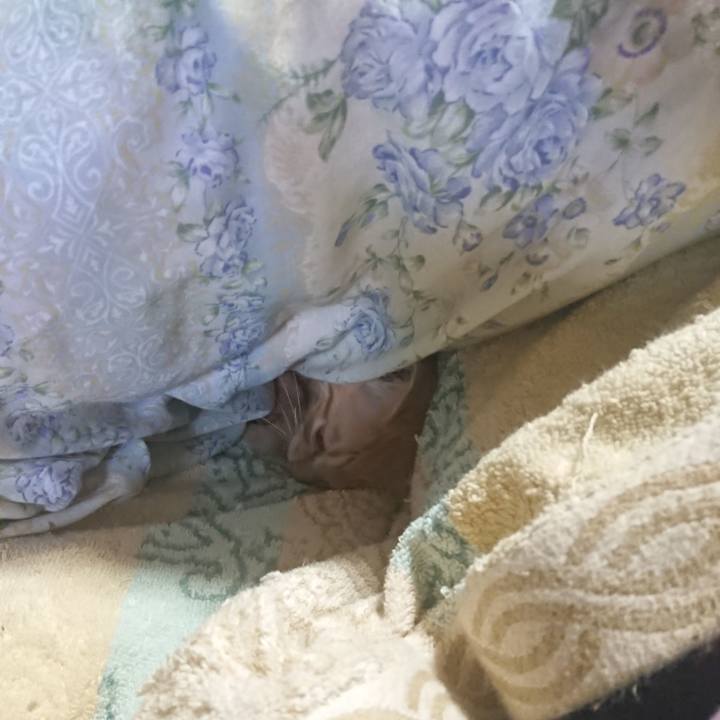 5a34502f a5db 41fc a3d2 c320c3b51998 1630904188975