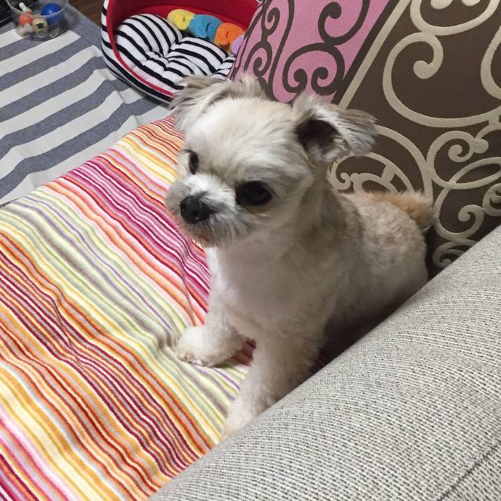 5a3467b8 c6bf 4531 b166 9a3ffc870d83 1533039583703