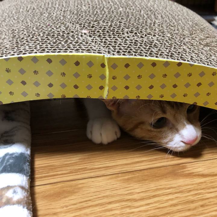 5a34b77b 77a8 44db a5d2 f09228ed1179 1548248294653